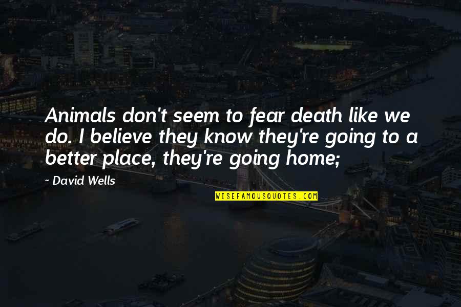 Famous Anti War Quotes By David Wells: Animals don't seem to fear death like we