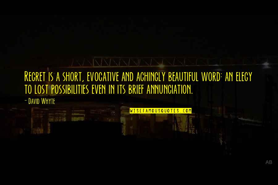 Famous Archives Quotes By David Whyte: Regret is a short, evocative and achingly beautiful