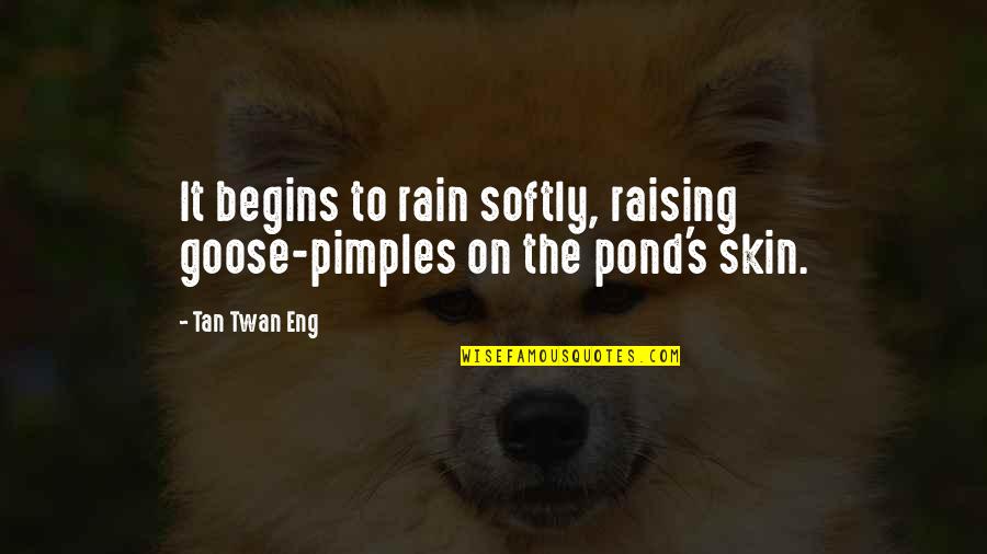 Famous Archives Quotes By Tan Twan Eng: It begins to rain softly, raising goose-pimples on