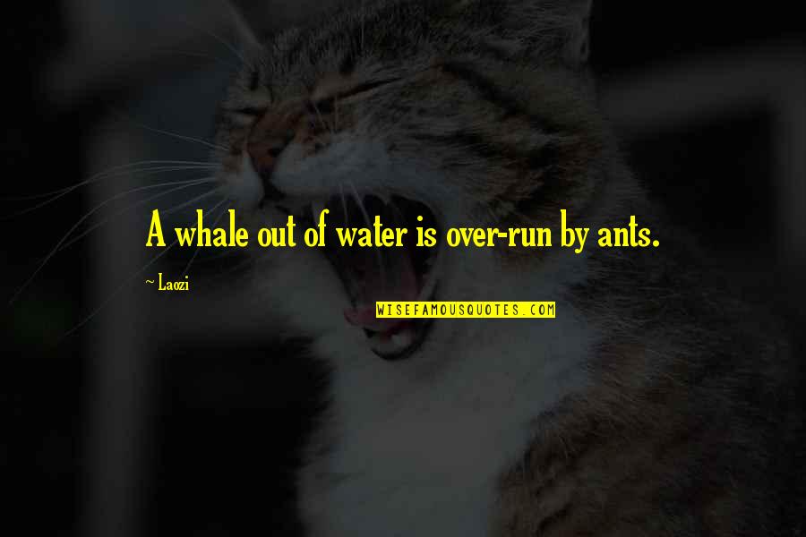 Famous Basquiat Quotes By Laozi: A whale out of water is over-run by