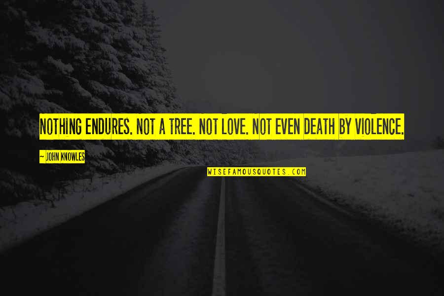 Famous Battle Of Britain Quotes By John Knowles: Nothing endures. Not a tree. Not love. Not