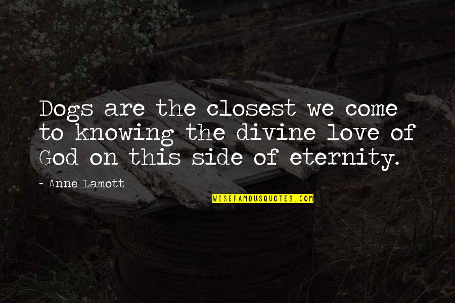 Famous Being Envied Quotes By Anne Lamott: Dogs are the closest we come to knowing