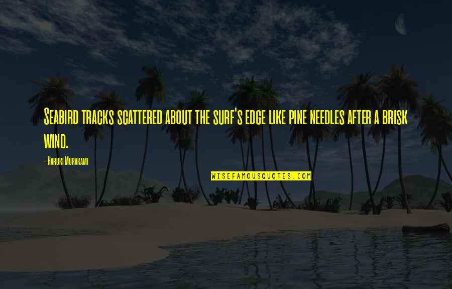 Famous Being Envied Quotes By Haruki Murakami: Seabird tracks scattered about the surf's edge like Famous Being Envied Quotes By Haruki Murakami: Seabird tracks scattered about the surf's edge like