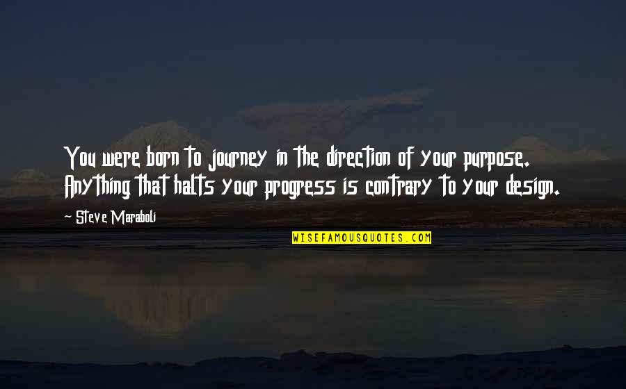 Famous Biochemists Quotes By Steve Maraboli: You were born to journey in the direction