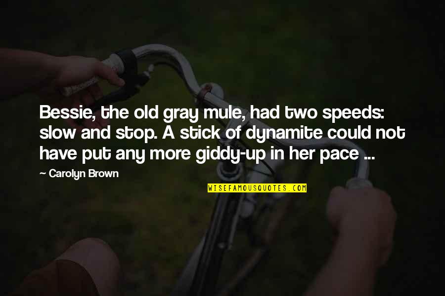 Famous Biography Quotes By Carolyn Brown: Bessie, the old gray mule, had two speeds: