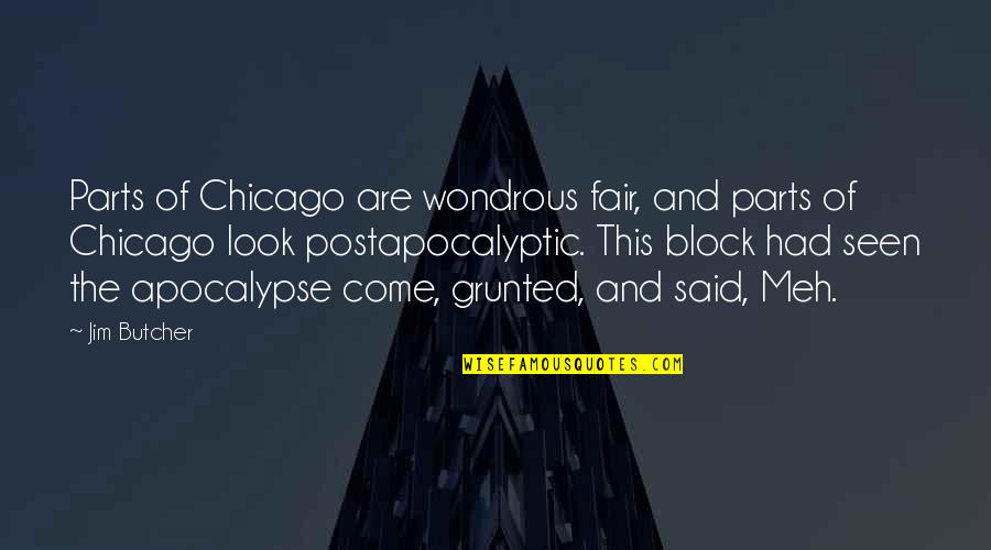 Famous Bootlegging Quotes By Jim Butcher: Parts of Chicago are wondrous fair, and parts