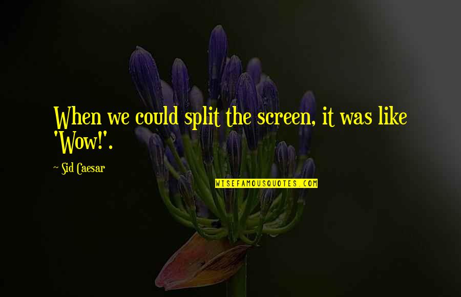 Famous Bruner Quotes By Sid Caesar: When we could split the screen, it was