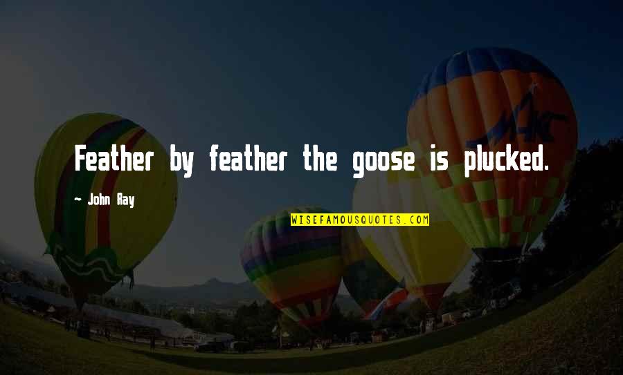 Famous Carl Vinson Quotes By John Ray: Feather by feather the goose is plucked. Famous Carl Vinson Quotes By John Ray: Feather by feather the goose is plucked.