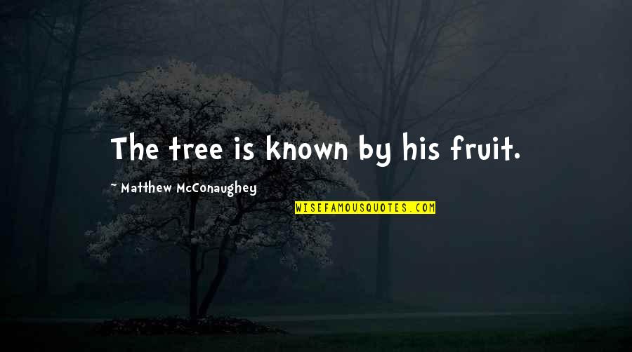 Famous Charlton Quotes By Matthew McConaughey: The tree is known by his fruit. Famous Charlton Quotes By Matthew McConaughey: The tree is known by his fruit.