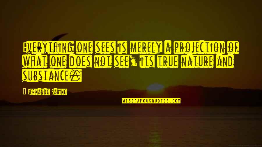 Famous Curren$y Quotes By Fernando Sabino: Everything one sees is merely a projection of
