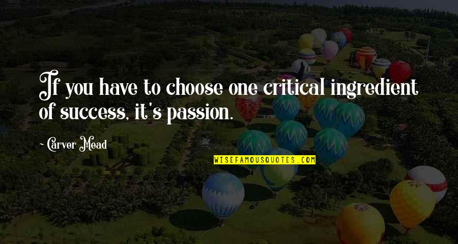 Famous David Seaman Quotes By Carver Mead: If you have to choose one critical ingredient