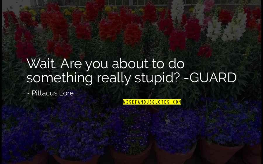 Famous Debatable Quotes By Pittacus Lore: Wait. Are you about to do something really