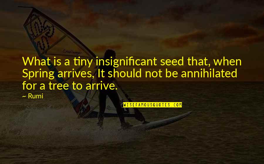Famous Defiance Quotes By Rumi: What is a tiny insignificant seed that, when