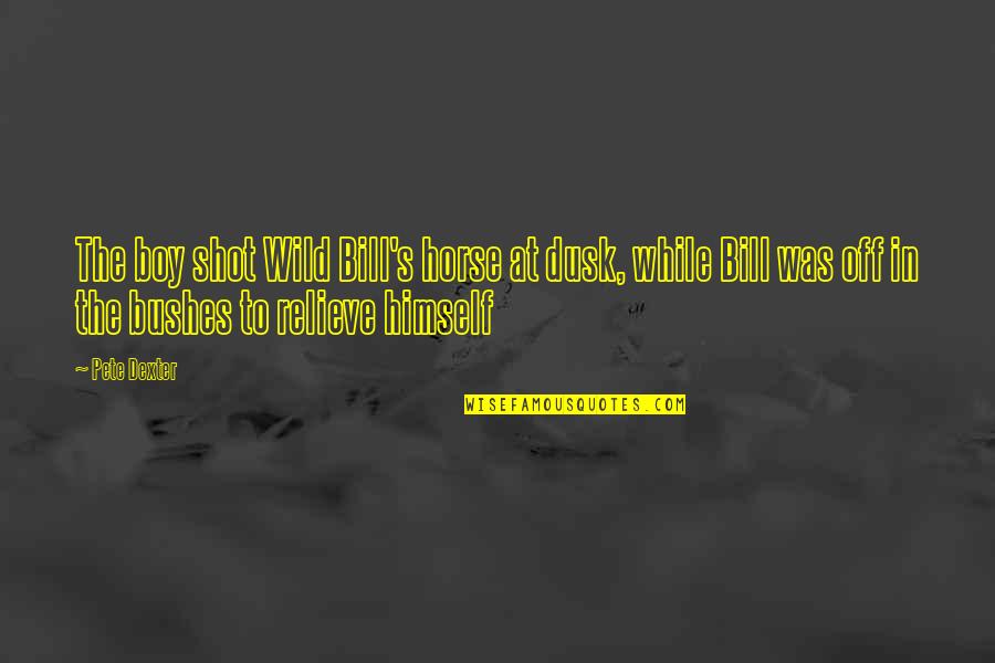 Famous Disasters Quotes By Pete Dexter: The boy shot Wild Bill's horse at dusk, Famous Disasters Quotes By Pete Dexter: The boy shot Wild Bill's horse at dusk,