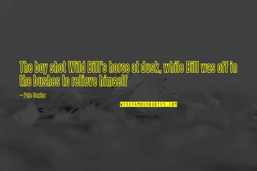 Famous Disasters Quotes By Pete Dexter: The boy shot Wild Bill's horse at dusk,