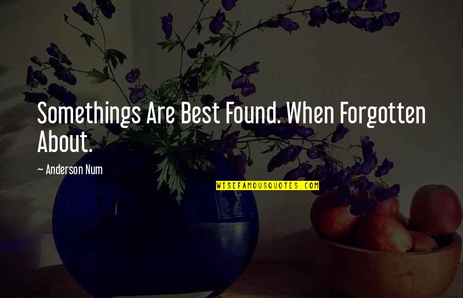 Famous Donors Quotes By Anderson Num: Somethings Are Best Found. When Forgotten About. Famous Donors Quotes By Anderson Num: Somethings Are Best Found. When Forgotten About.