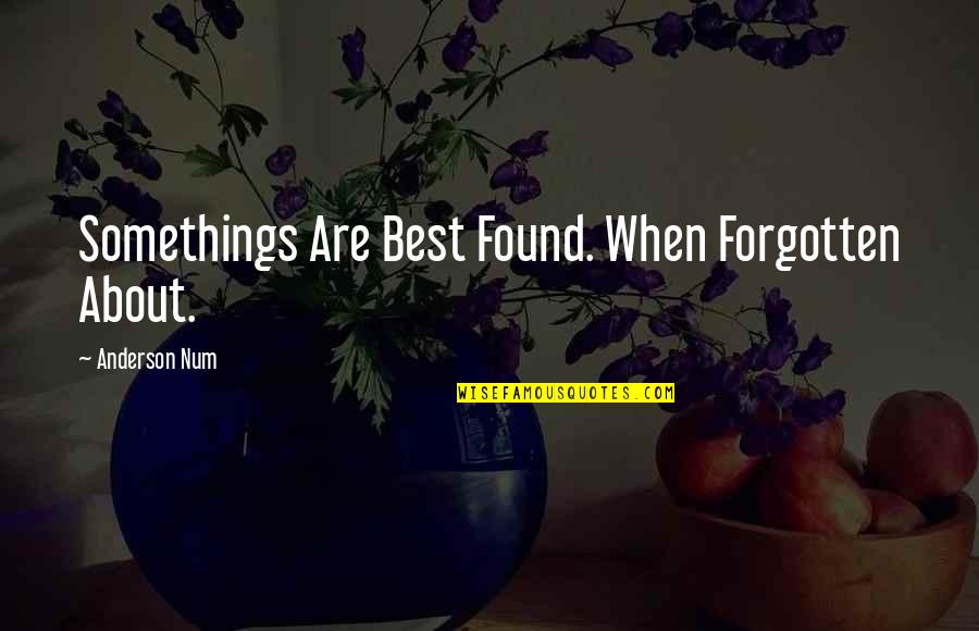 Famous Donors Quotes By Anderson Num: Somethings Are Best Found. When Forgotten About.