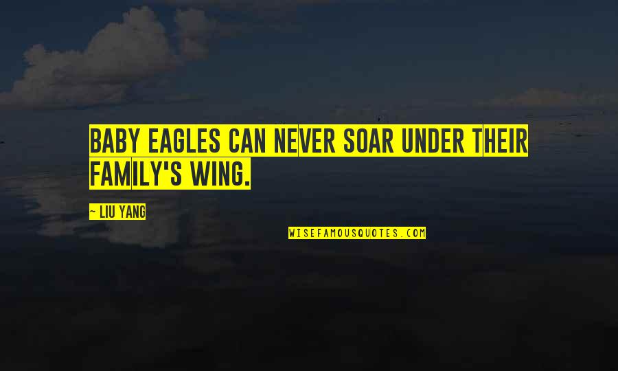 Famous Dumb Sports Quotes By Liu Yang: Baby eagles can never soar under their family's