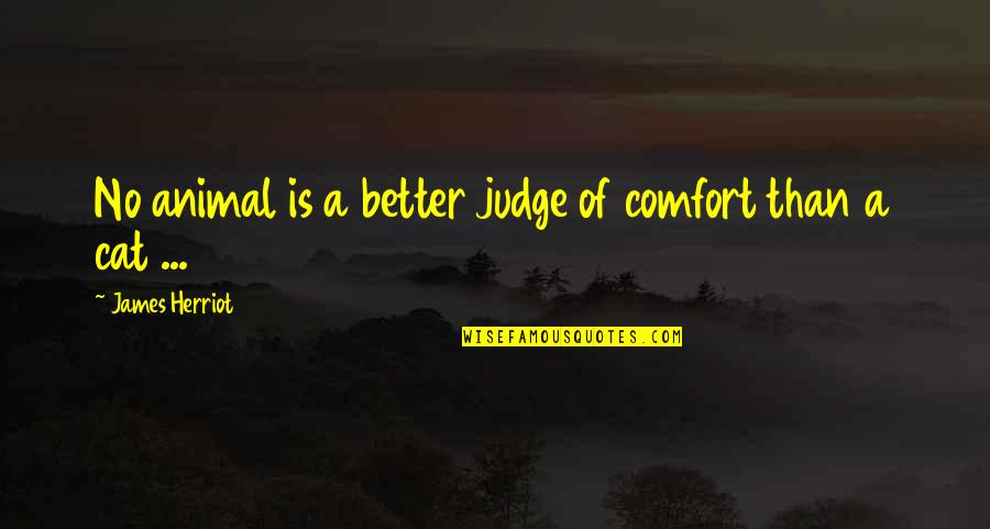 Famous Egalitarian Quotes By James Herriot: No animal is a better judge of comfort