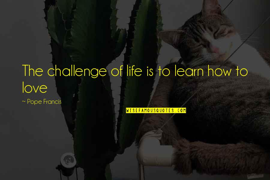 Famous Escalator Quotes By Pope Francis: The challenge of life is to learn how