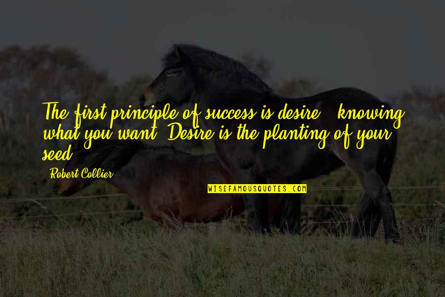 Famous Exceeding Expectations Quotes By Robert Collier: The first principle of success is desire -