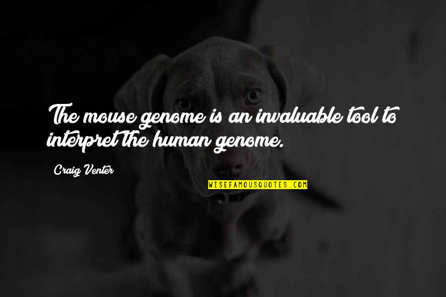 Famous Failures Before Success Quotes By Craig Venter: The mouse genome is an invaluable tool to
