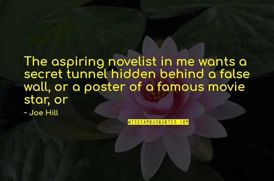 Famous False Quotes By Joe Hill: The aspiring novelist in me wants a secret