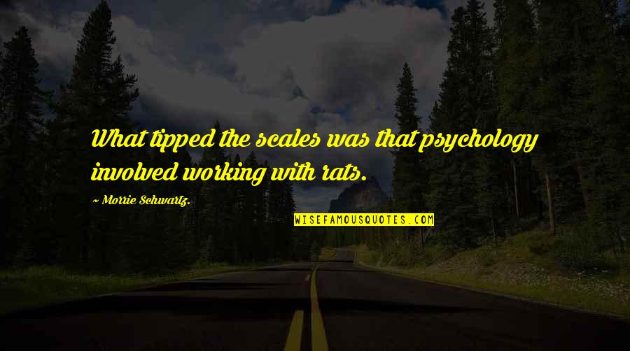 Famous Franz Klammer Quotes By Morrie Schwartz.: What tipped the scales was that psychology involved Famous Franz Klammer Quotes By Morrie Schwartz.: What tipped the scales was that psychology involved