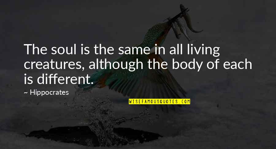 Famous French Culinary Quotes By Hippocrates: The soul is the same in all living