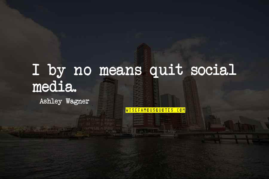 Famous Fulfilment Quotes By Ashley Wagner: I by no means quit social media.