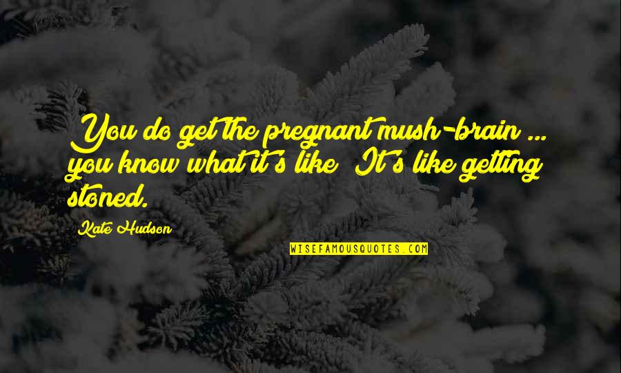 Famous Gang Starr Quotes By Kate Hudson: You do get the pregnant mush-brain ... you