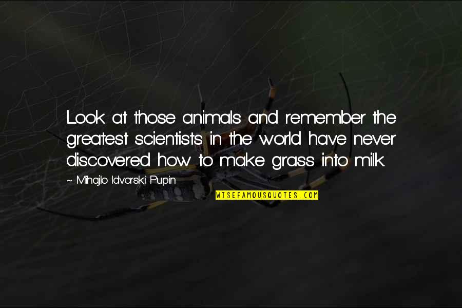 Famous Graham Taylor Quotes By Mihajlo Idvorski Pupin: Look at those animals and remember the greatest Famous Graham Taylor Quotes By Mihajlo Idvorski Pupin: Look at those animals and remember the greatest