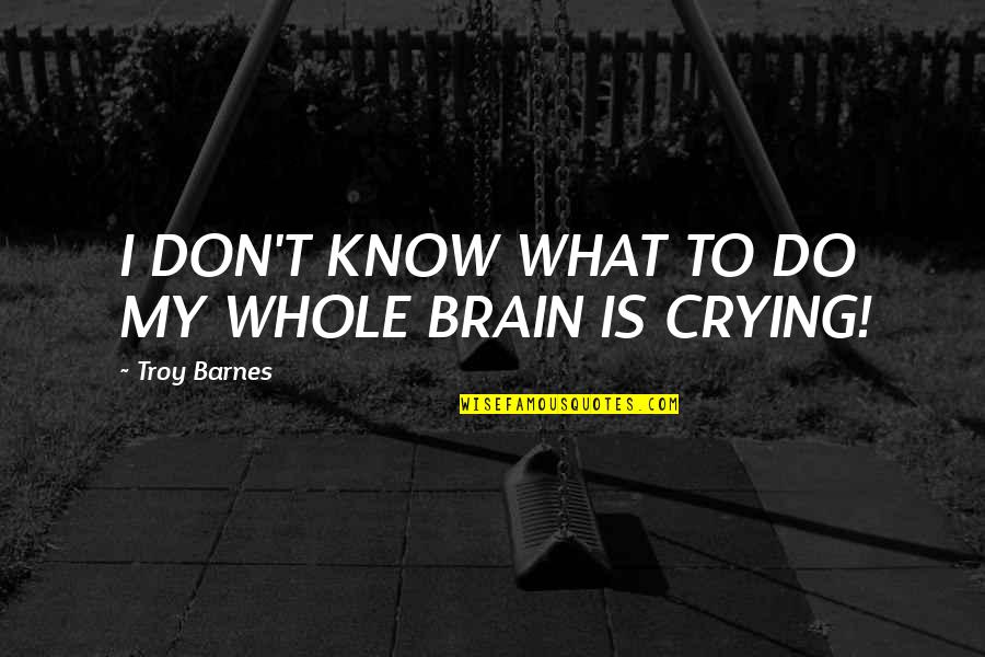 Famous Grammatically Incorrect Quotes By Troy Barnes: I DON'T KNOW WHAT TO DO MY WHOLE