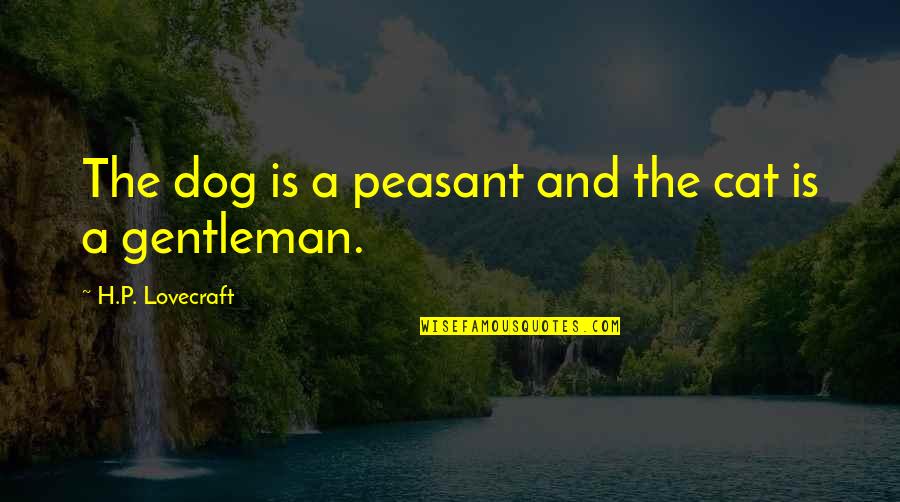 Famous Gun Shooting Quotes By H.P. Lovecraft: The dog is a peasant and the cat