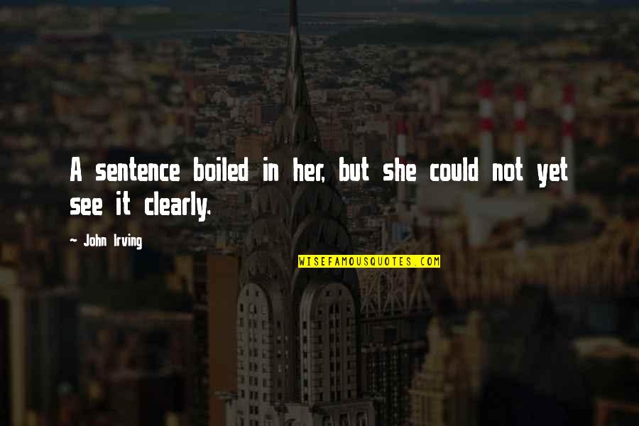 Famous Heel Quotes By John Irving: A sentence boiled in her, but she could