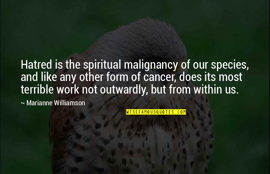 Famous Hermione Quotes By Marianne Williamson: Hatred is the spiritual malignancy of our species,