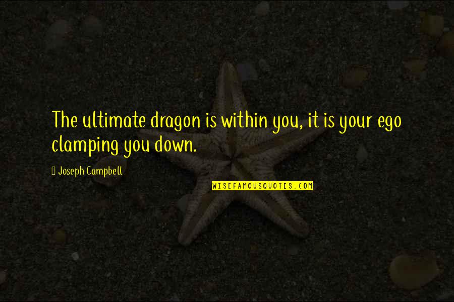 Famous Hero Worship Quotes By Joseph Campbell: The ultimate dragon is within you, it is
