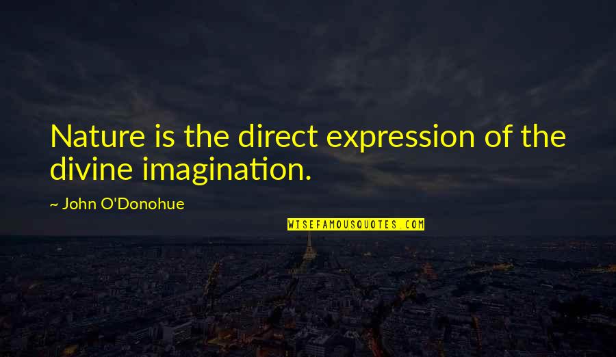 Famous Higher Education Quotes By John O'Donohue: Nature is the direct expression of the divine