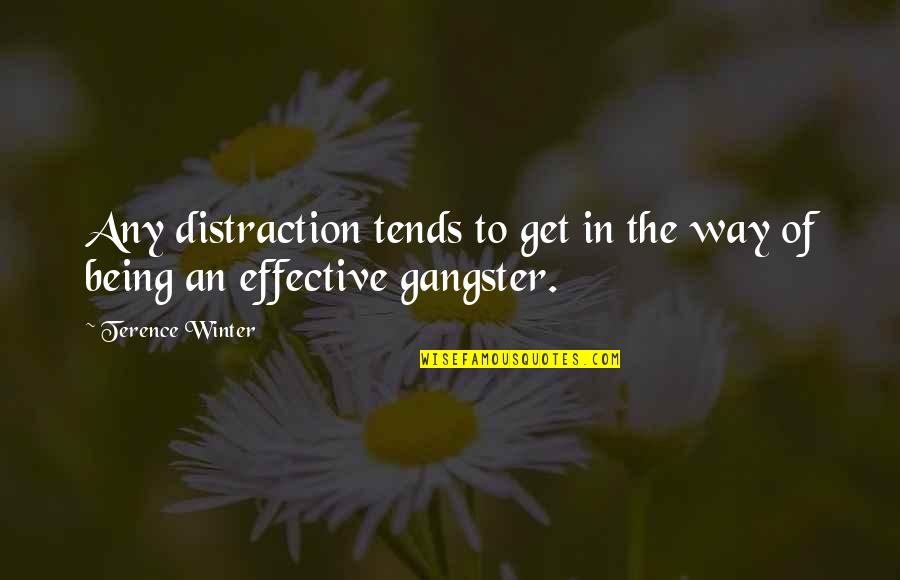 Famous Hindi Quotes By Terence Winter: Any distraction tends to get in the way