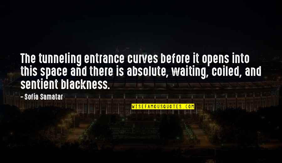 Famous Hopeless Romantic Quotes By Sofia Samatar: The tunneling entrance curves before it opens into