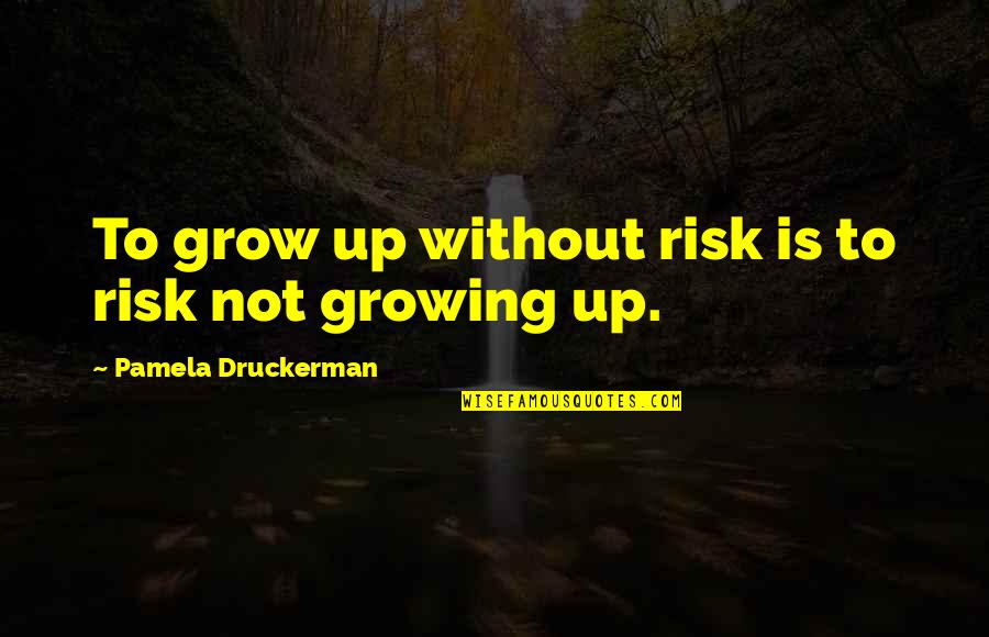 Famous Hoteliers Quotes By Pamela Druckerman: To grow up without risk is to risk