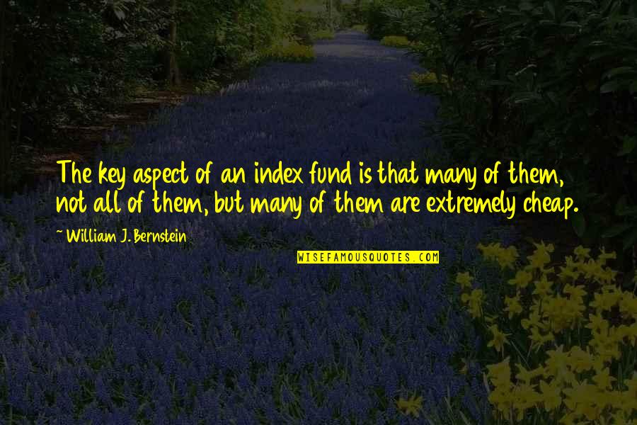 Famous Ian Watkins Quotes By William J. Bernstein: The key aspect of an index fund is Famous Ian Watkins Quotes By William J. Bernstein: The key aspect of an index fund is