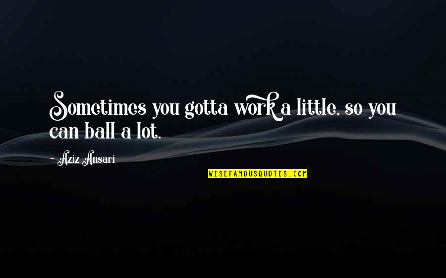Famous Ibrahimovic Quotes By Aziz Ansari: Sometimes you gotta work a little, so you