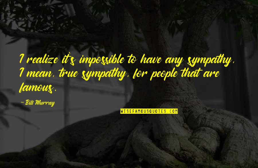 Famous Impossible Quotes By Bill Murray: I realize it's impossible to have any sympathy,