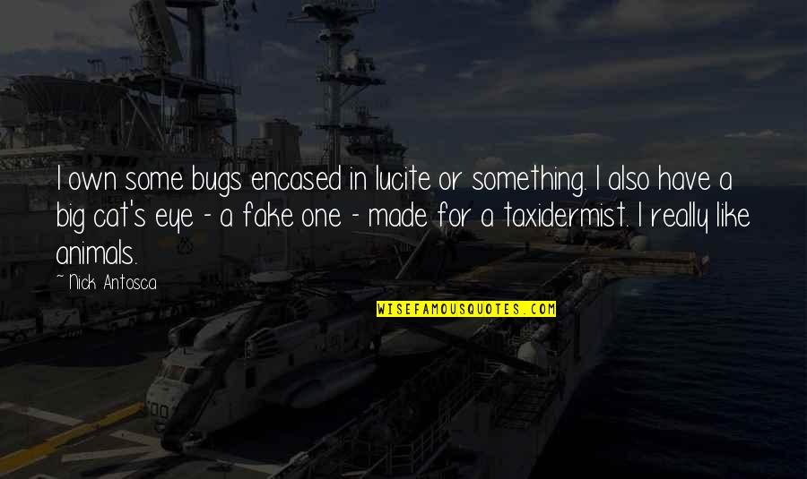 Famous Inspirational Management Quotes By Nick Antosca: I own some bugs encased in lucite or Famous Inspirational Management Quotes By Nick Antosca: I own some bugs encased in lucite or