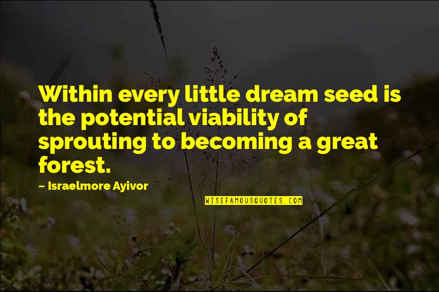 Famous Inspirational Sayings And Quotes By Israelmore Ayivor: Within every little dream seed is the potential