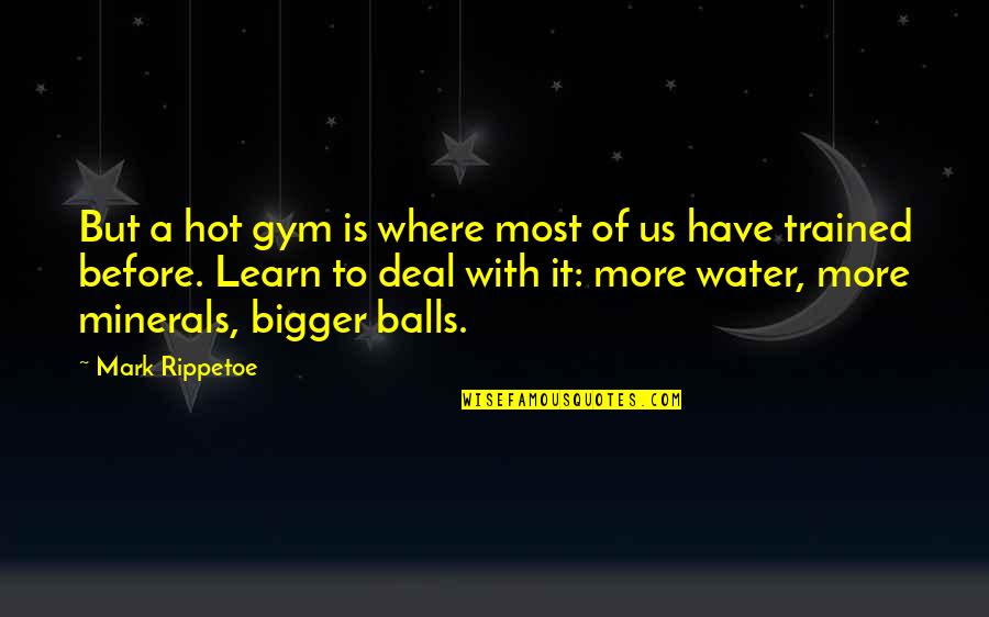 Famous Joe Rogan Quotes By Mark Rippetoe: But a hot gym is where most of