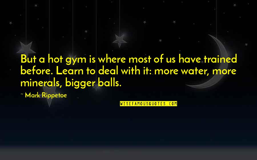 Famous Joe Rogan Quotes By Mark Rippetoe: But a hot gym is where most of Famous Joe Rogan Quotes By Mark Rippetoe: But a hot gym is where most of