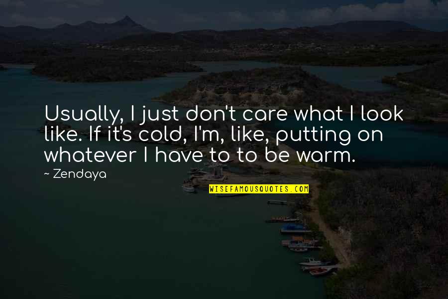 Famous Johnny Bravo Quotes By Zendaya: Usually, I just don't care what I look Famous Johnny Bravo Quotes By Zendaya: Usually, I just don't care what I look
