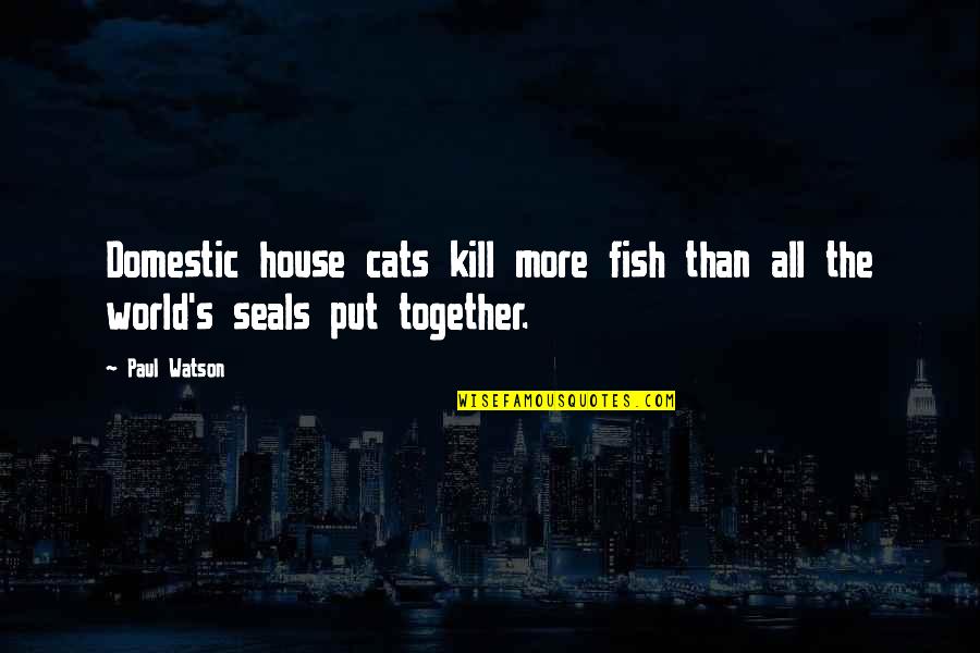 Famous Kkk Quotes By Paul Watson: Domestic house cats kill more fish than all